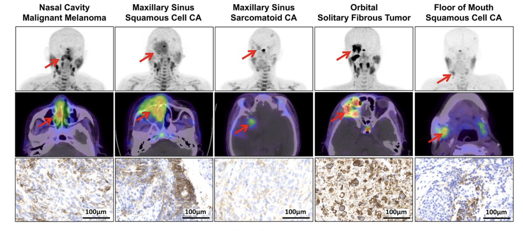 SNMMI Image of the Year 2025