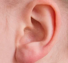Ear Thumbnail