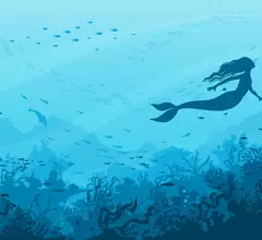 mermaid