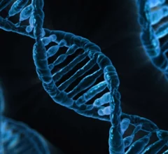DNA.JPG Thumbnail