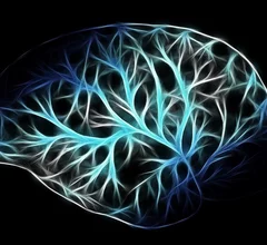 Neuro_Circuits.jpg Thumbnail