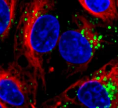RNA nanoparticles.jpg Thumbnail