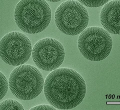 Silica-nanoparticles.jpg Thumbnail