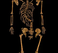 UM0A1608-Credit-University-of-Leicester.jpg Thumbnail