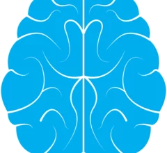 brain-1710293_1280.png Thumbnail