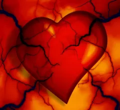 heart-2372134_1920.jpg Thumbnail