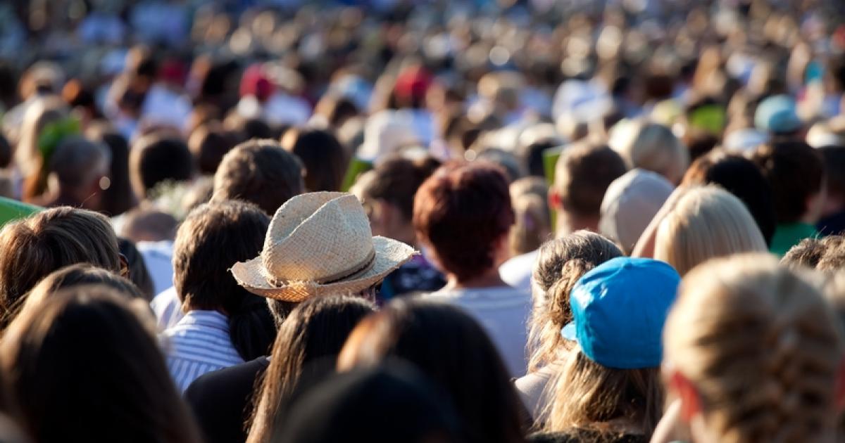 Group dynamics: Brain MRI helps explain ‘mob mentality’