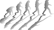 Evolution