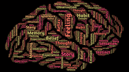 brain