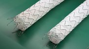 Relay Pro Thoracic Stent Grafts