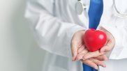 cardiologist heart model doctor