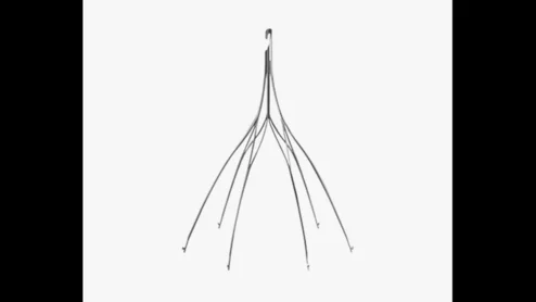 Argon Medical Devices Option Elite IVC filter