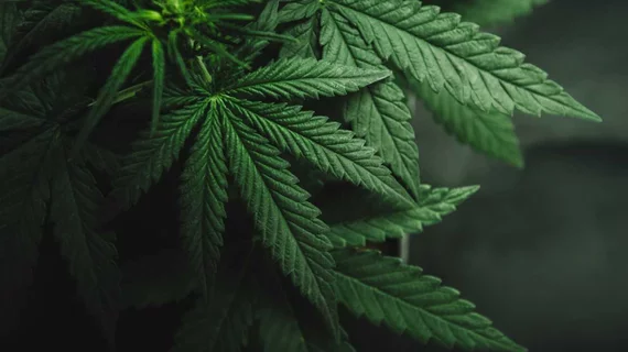 Weed Weed