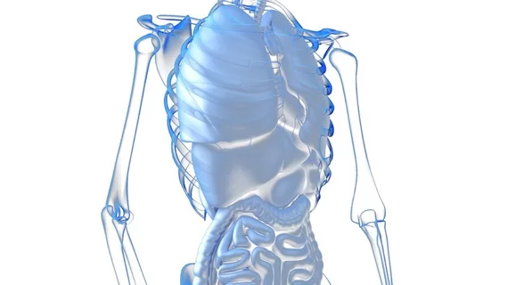 Anatomy