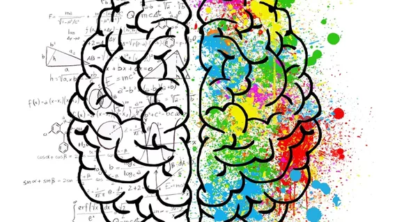 Brain
