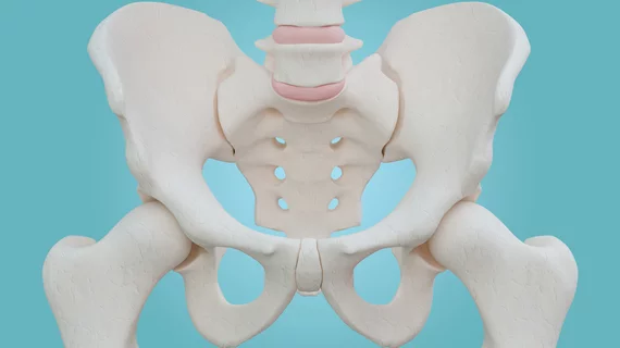 Hip skeleton