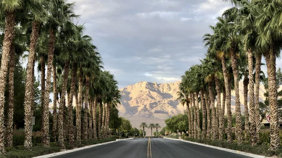 Las Vegas mountains palm trees