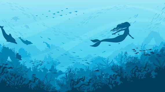 Radiology students to run scans on 'mermaid'