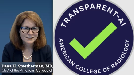 Video interview with ACR CEO Dana Smetherman, MD, who explains how the American College of Radiology can help radiology practices evaluate and vet AI. 