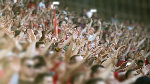 Sports fans' emotions really are dependent on their team, MRI data suggest