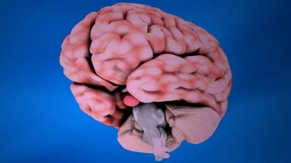 HealthyBrain