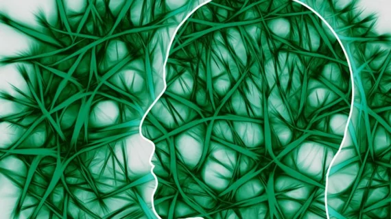 BrainSelfie