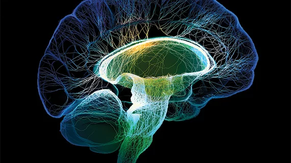 Brain Imaging