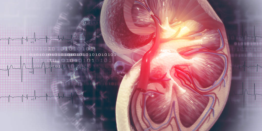 Pharmacy firm eyes 2024 rollout of 1st targeted PET imaging agent for kidney cancer